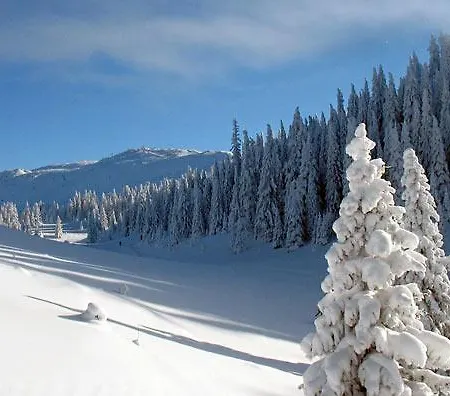 Planinska Idila - Uz Stazu Vakantiehuis Jahorina