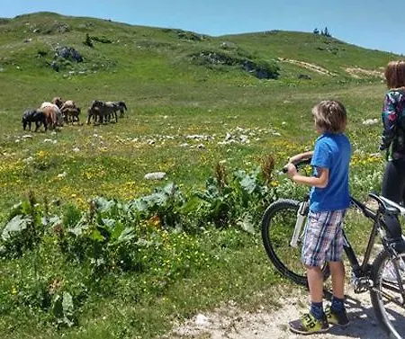 Planinska Idila - Uz Stazu